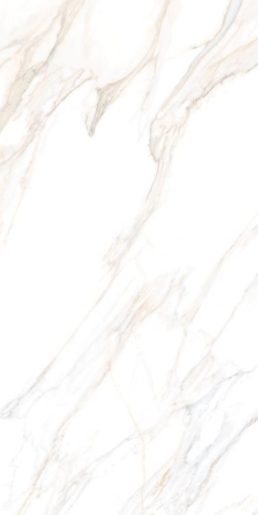 Aurum Calacatta Polished 24 x 48